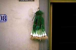 繁盛焼鳥店開業支援システムについて