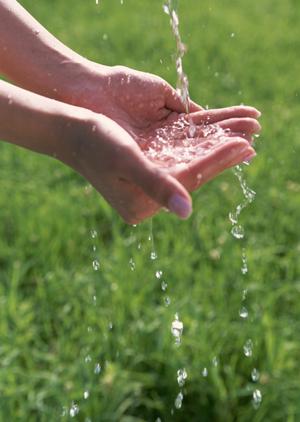 新宿の絶品牡蠣を気軽に楽しめるオイスターバー「Oyster Bar ジャックポット 新宿」の魅力と店舗情報