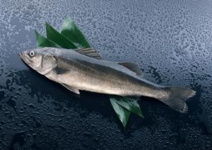 美味しいお米を販売するお米専門業者