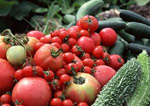 美味しいお米の通販のショップです