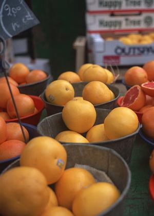 梅田阪神のシェイクシャック：都市の中の快適な食のオアシス