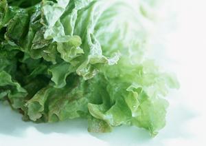 東京水タバコで検索して見つかるお店