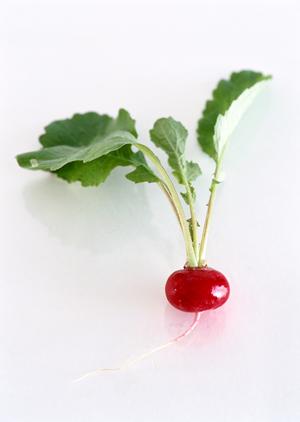 恵比寿のシーシャカフェで贅沢なひとときを過ごす方法