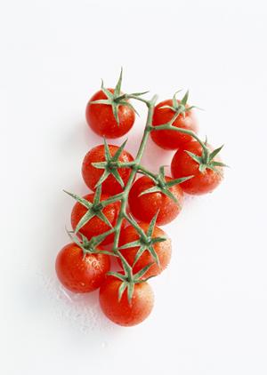 おいしいお米が購入できる通販サイト