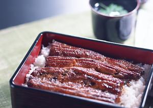 越谷で博多料理が楽しめる店で大物のうなぎを食す