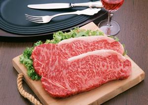 銀座で楽しむ隠れ家居酒屋！おしゃれな雰囲気と旬の味覚を堪能する完全ガイド