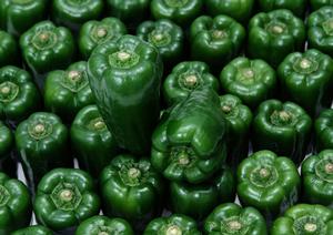 料金がお得だと話題の東京水タバコバー