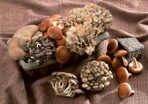 業務用厨房機器の選び方完全ガイド！高品質かつコストパフォーマンスに優れた機器を見極める方法